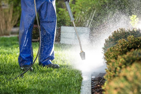 Cost of Curb Cleaning in Lansdale