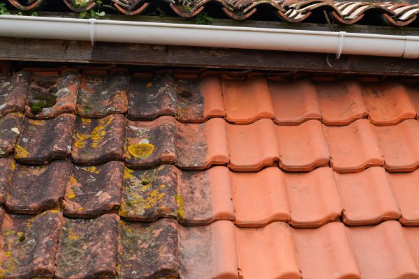 Industrial Roof Cleaning in Lansdale